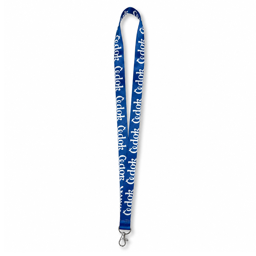 Lanyard